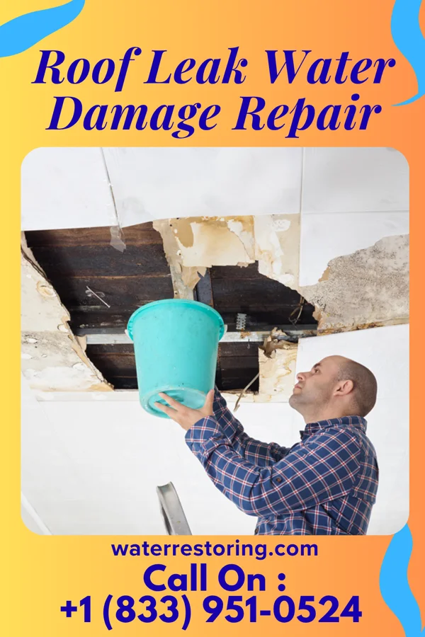 Roof Leak Water Damage Repair in Wild Peach Village, TX